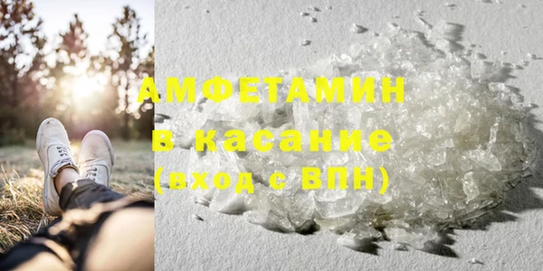 прущие грибы Алзамай