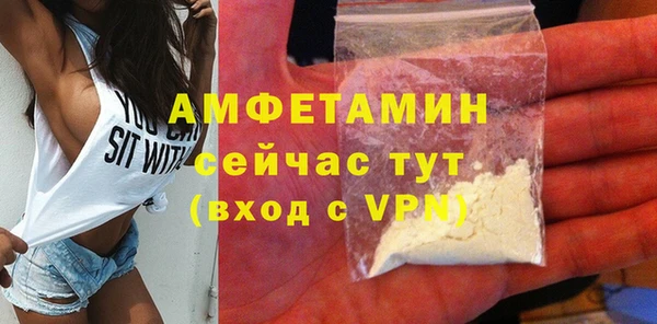 мет Алексин