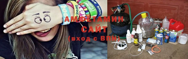 прущие грибы Алзамай